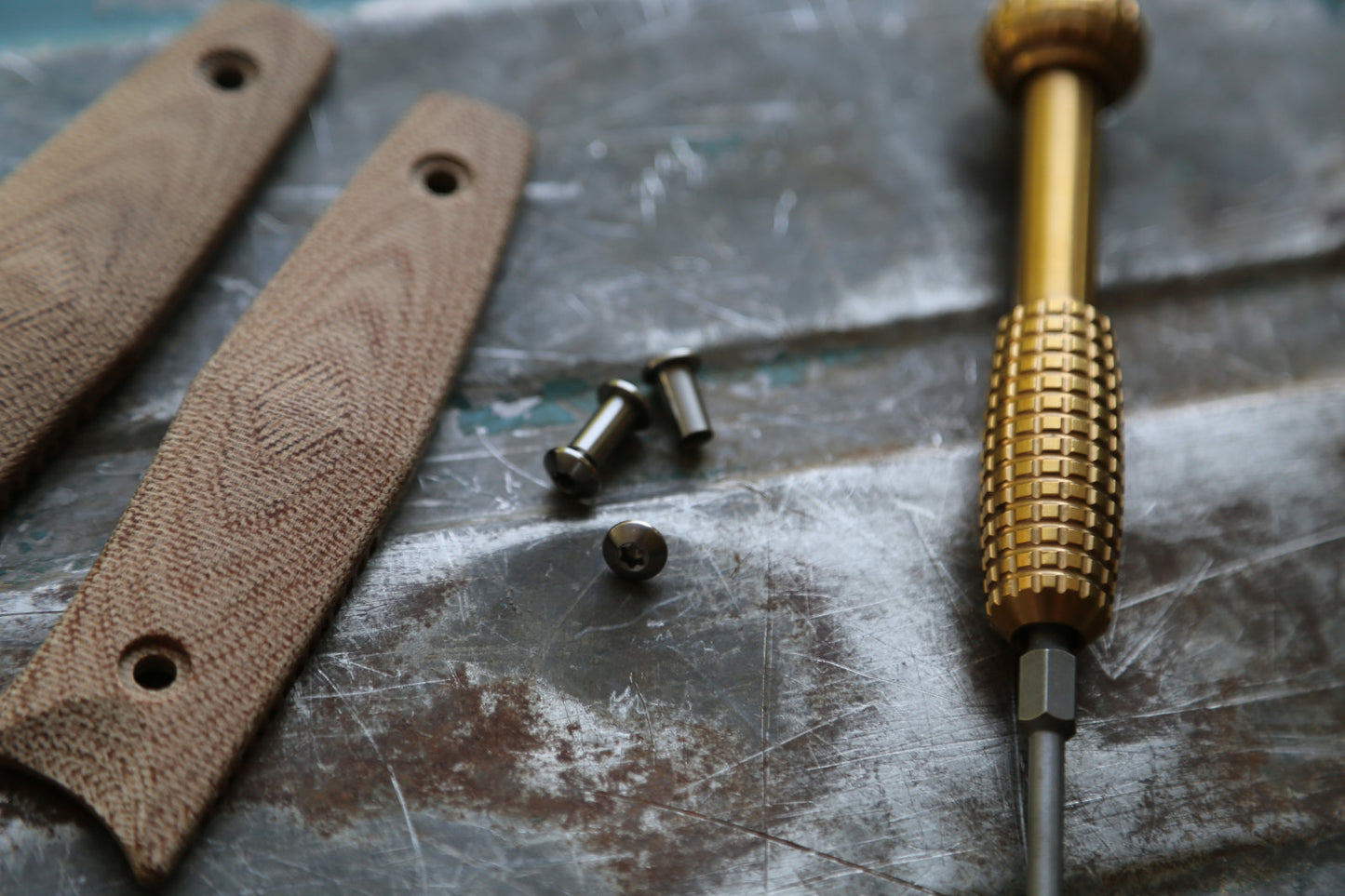 BIRK Titanium Screw Set