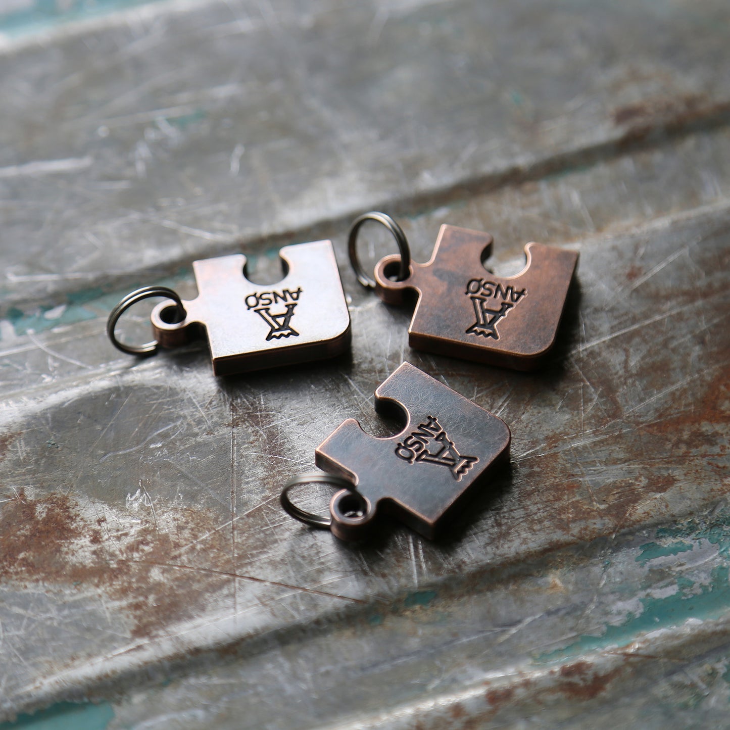 PZL Keyring x Bronze x Royal