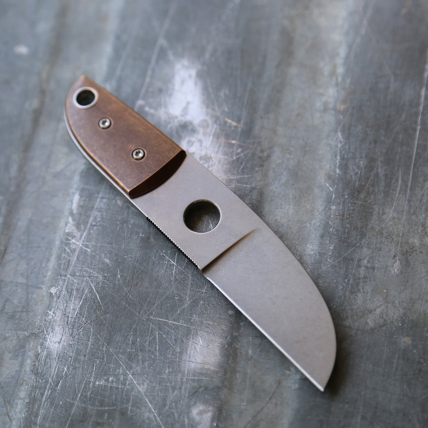 Anso Sheepsfoot x Bronze
