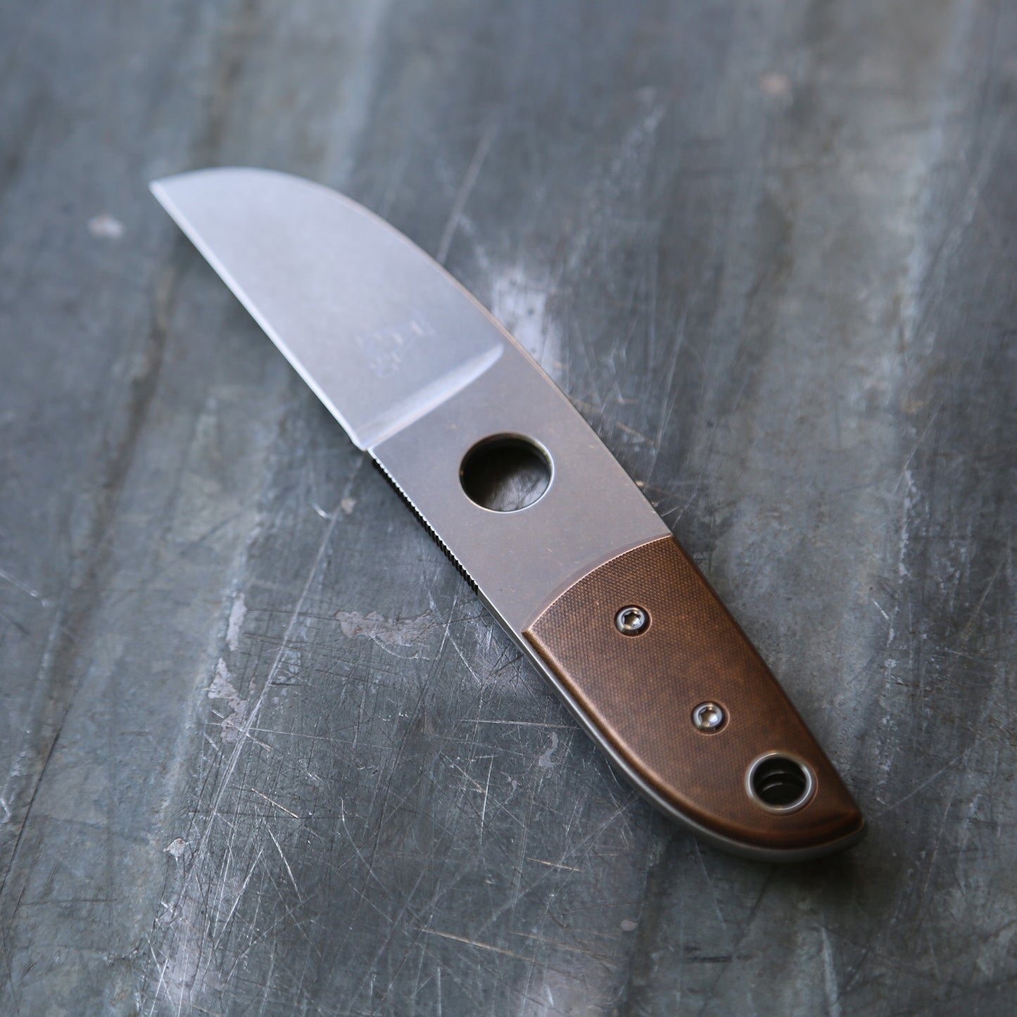 Anso Sheepsfoot x Bronze
