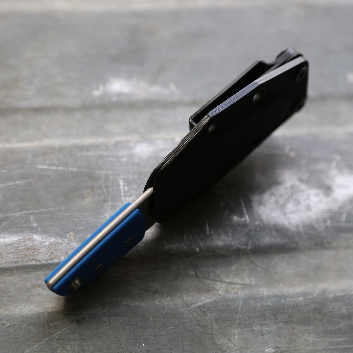 Anso Sheepsfoot x Blue G10