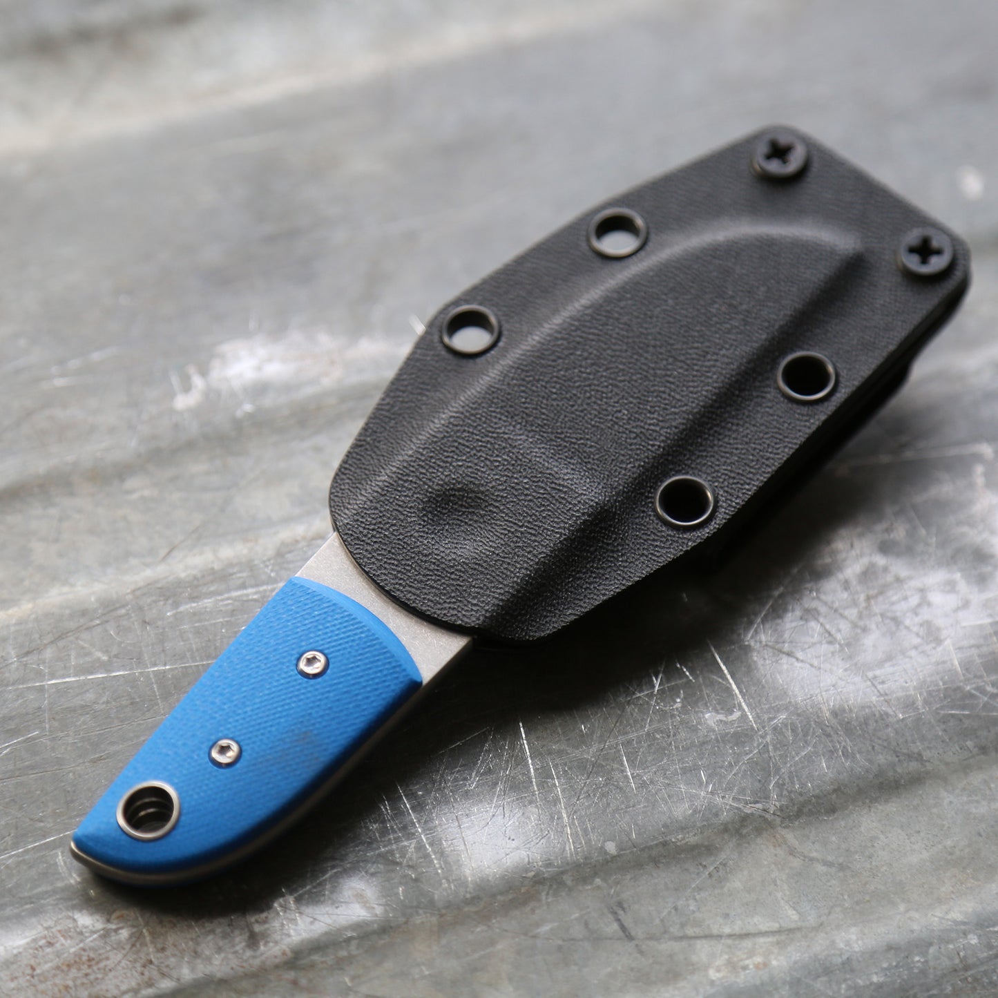 Anso Sheepsfoot x Blue G10