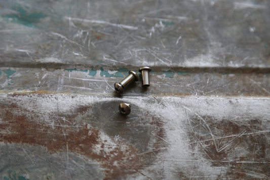 BIRK Titanium Screw Set