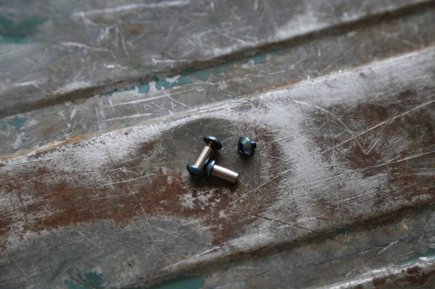 BIRK Titanium Screw Set