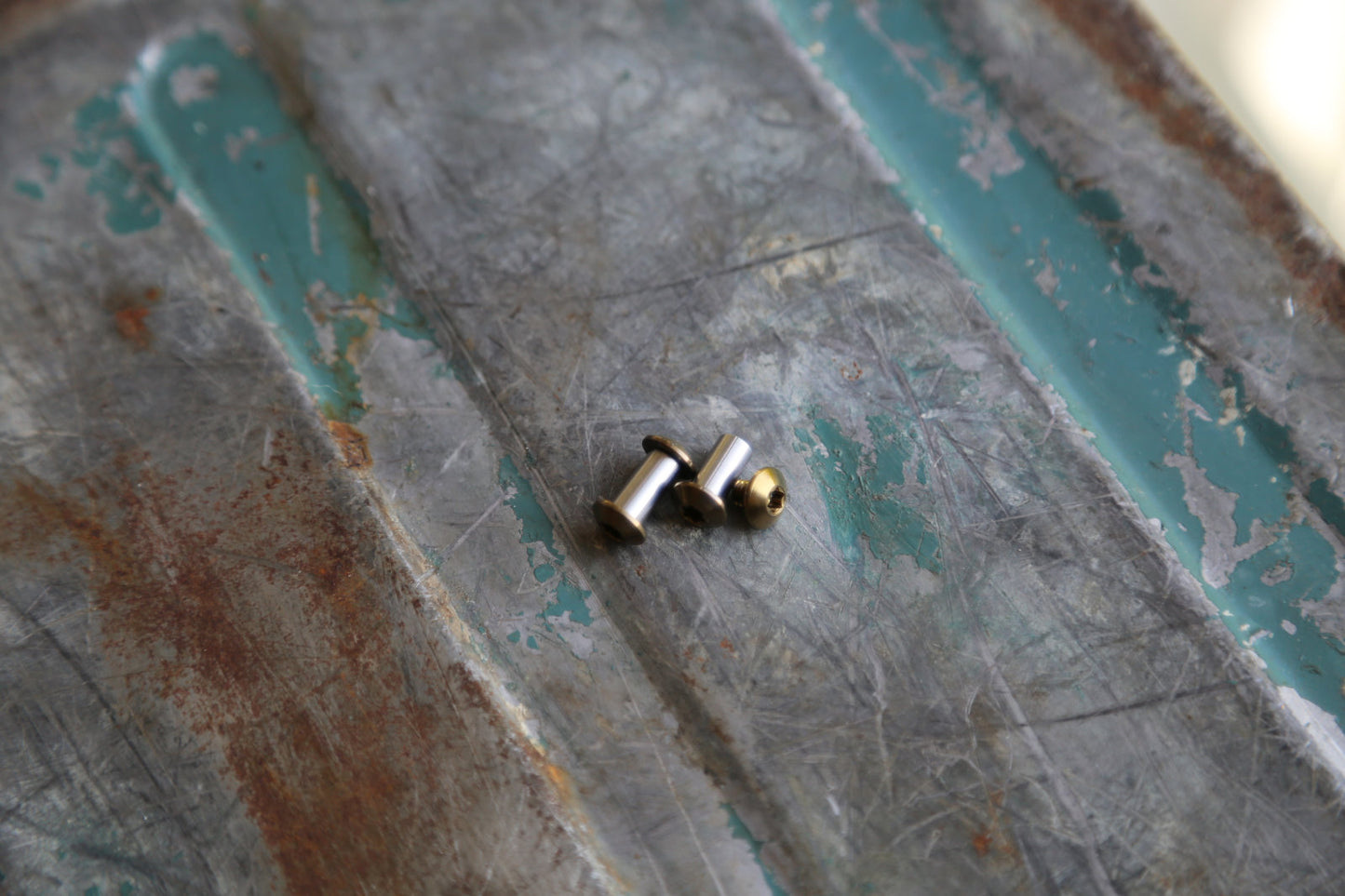BIRK Titanium Screw Set