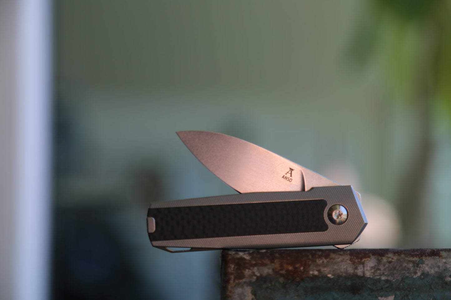 ARN x Carbon Fiber