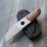 Anso Sheepsfoot x Bronze